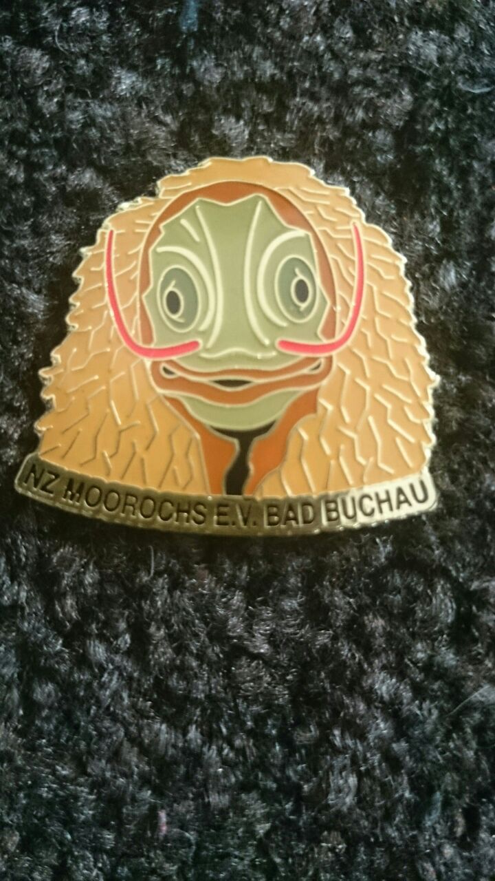 Umzugsabzeichen_Riedmeckeler_2011