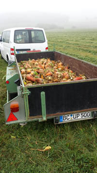 Rübengeisterumzug 2013